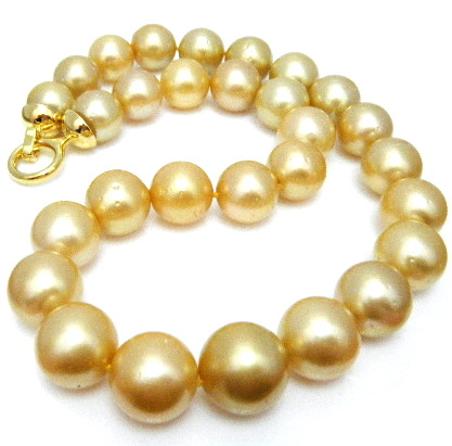 Gold Round South Sea Pearl Necklace